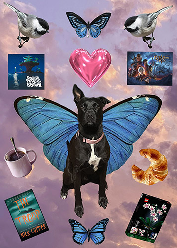 Collage of June's favorite things